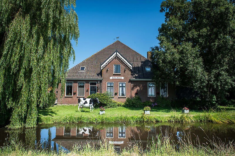 Alida Hoeve Volendam